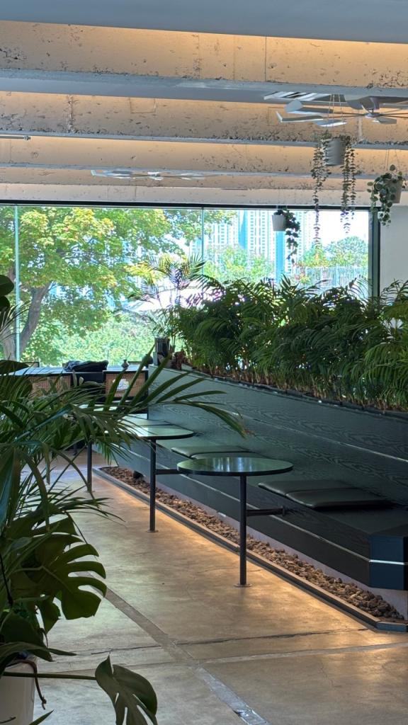 젊은갬성카페 마법거울이 있는 블란서커피