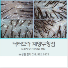 두피 관리는 당연히 여기!