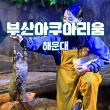 남녀노소 좋아하는 아쿠아리움