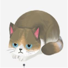 냐옹냐옹 고양이 미용